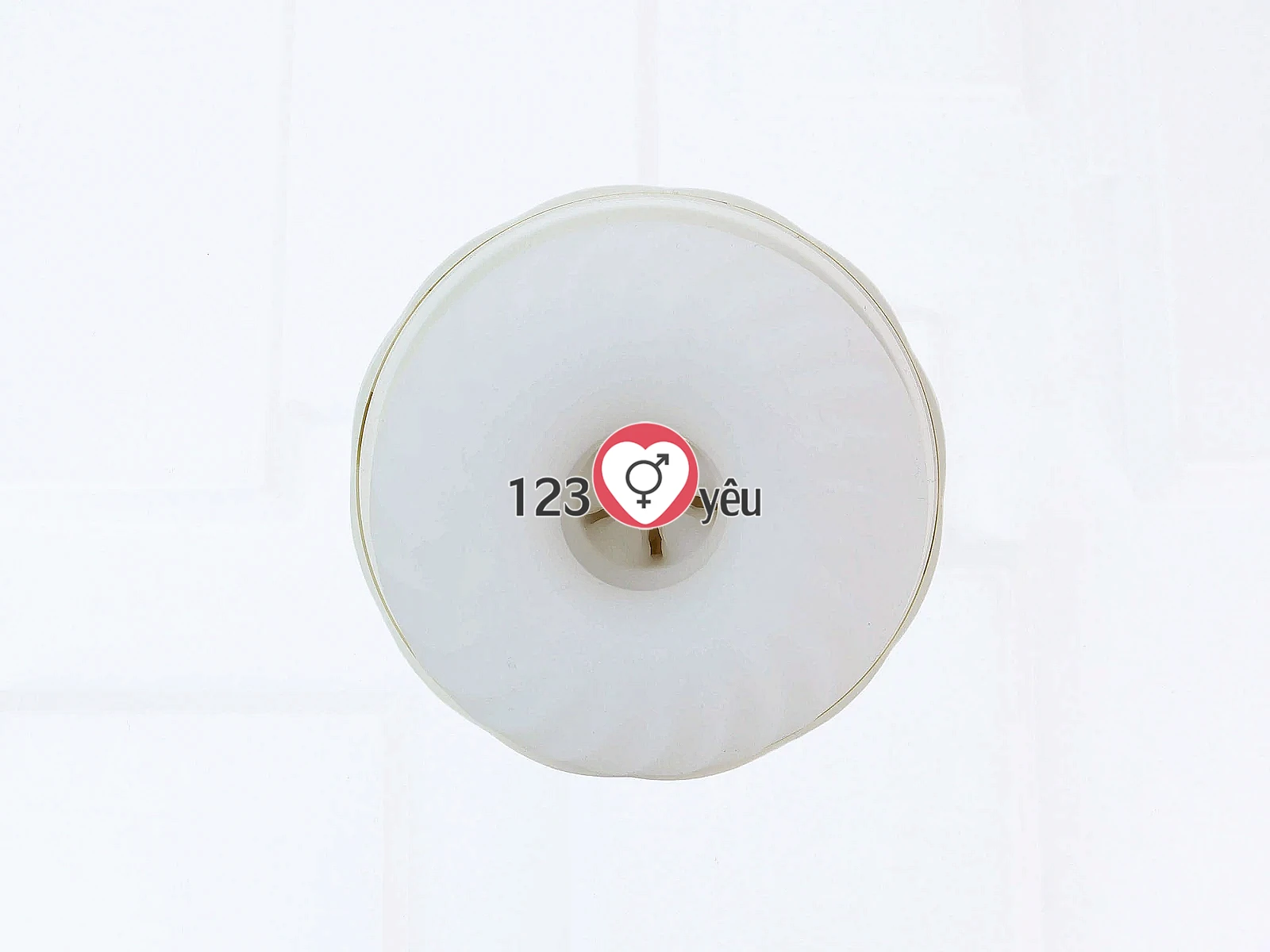 Âm đạo giả ngụy trang Svakom Robin pin sạc