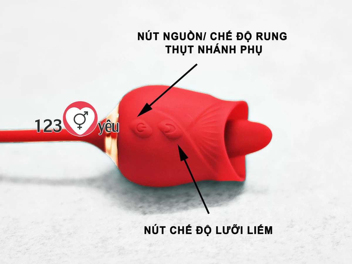 Trứng rung tình yêu hoa hồng hai đầu