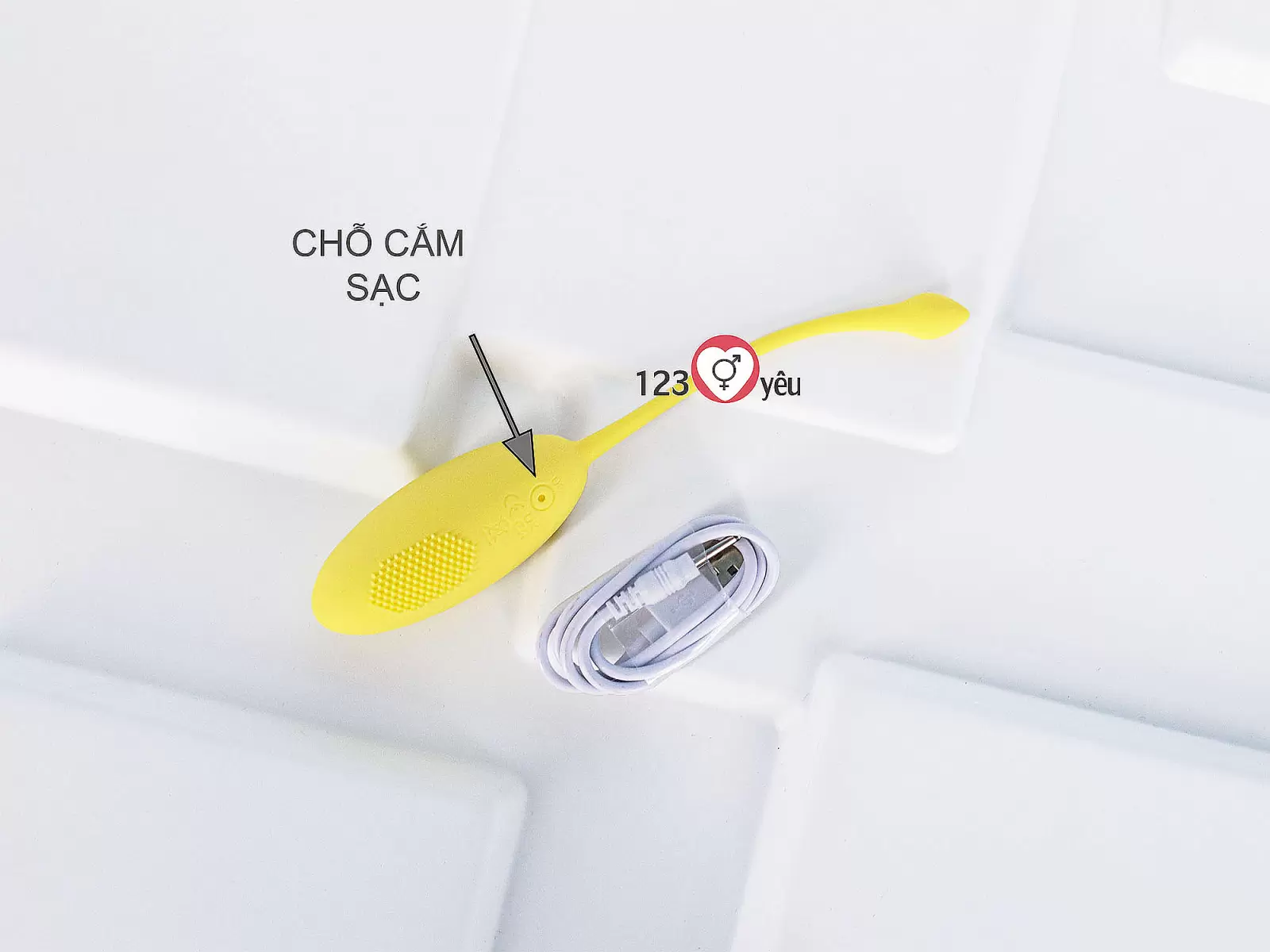 Trứng rung tinh trùng điều khiển từ xa