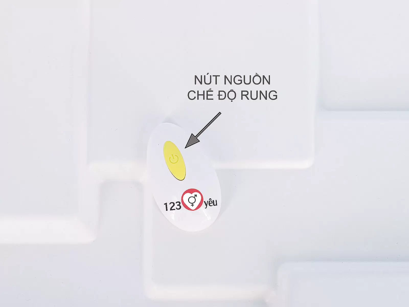Trứng rung tinh trùng điều khiển từ xa